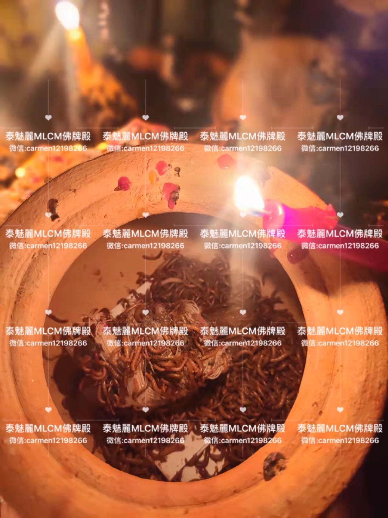 Mlcm Thai Amulets Enterprise | 墓地顶级血祭蛊虫🐛（可做拆散/情降）